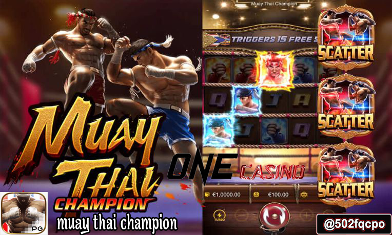 Muay Thai Champion